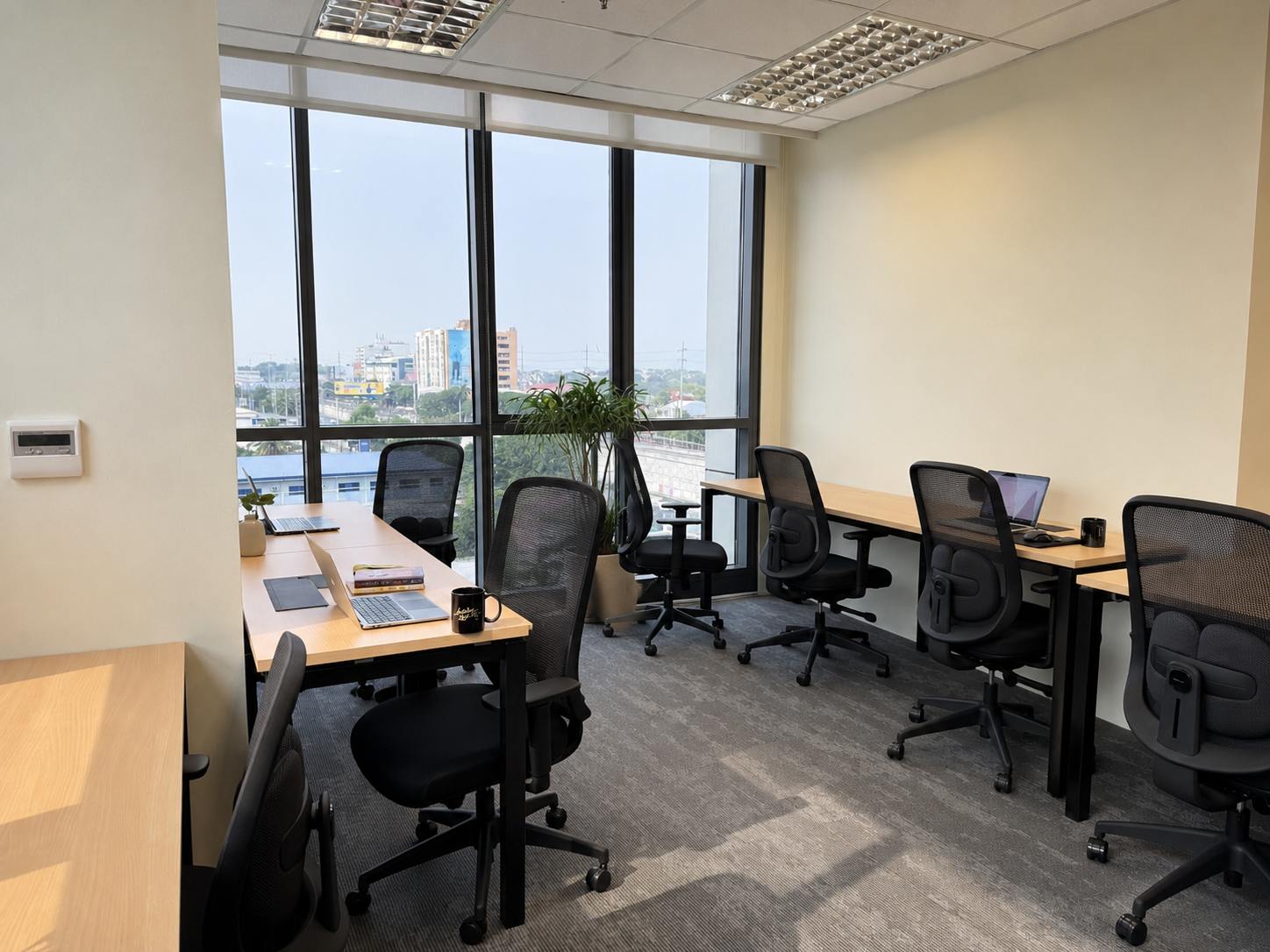 Common Ground — Don Antonio workspace view 3